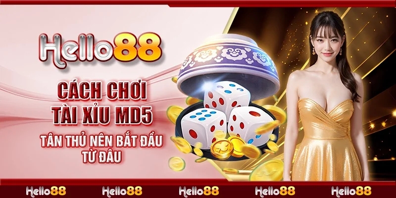 Cách chơi tài xỉu md5 - Tân thủ nên bắt đầu từ đâu