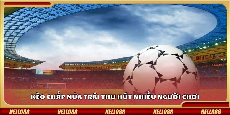 Kèo chấp nửa trái thu hút nhiều người chơi