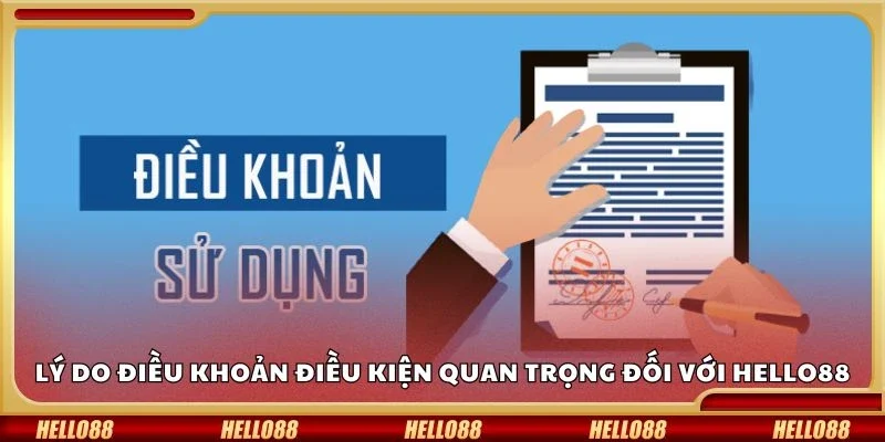 Lý do điều khoản điều kiện quan trọng đối với Hello88