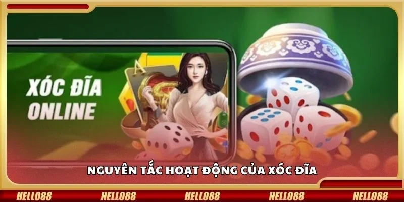 Nguyên tắc hoạt động của xóc đĩa