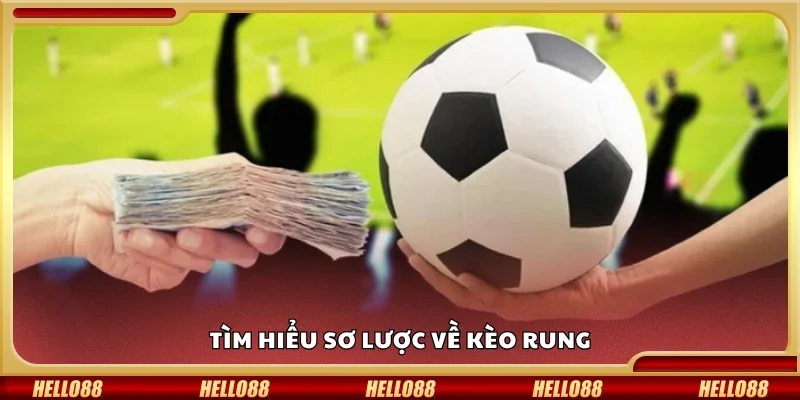 Tìm hiểu sơ lược về kèo rung