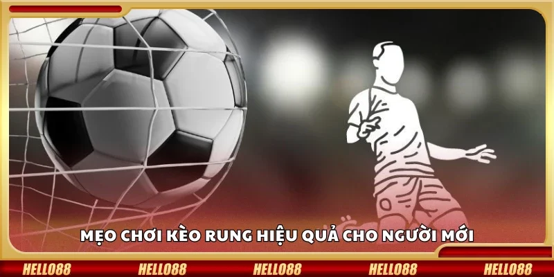 Top mẹo chơi kèo rung hiệu quả cho người mới