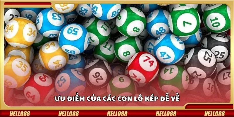 Ưu điểm của các con lô kép dễ về