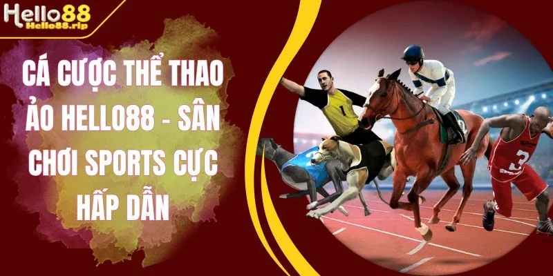 Feedback về cá cược thể thao ảo Hello88