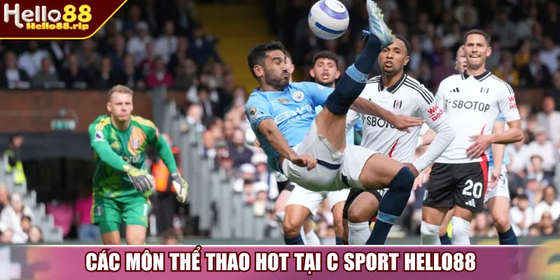 Các môn thể thao hot tại C Sport Hello88