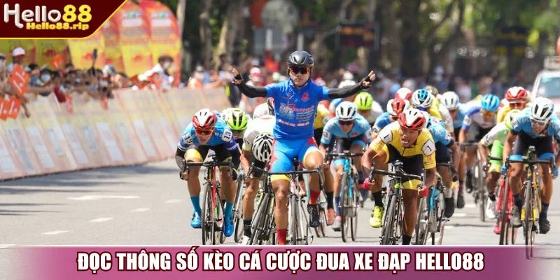 Đọc thông số kèo cá cược đua xe đạp Hello88